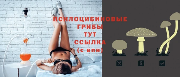 спайс Алзамай