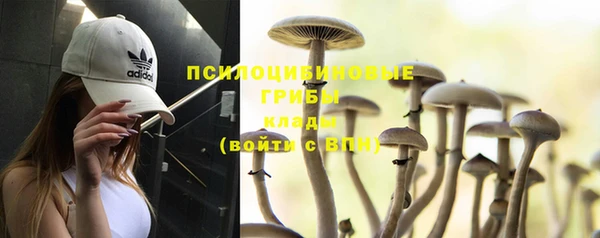 спайс Алзамай