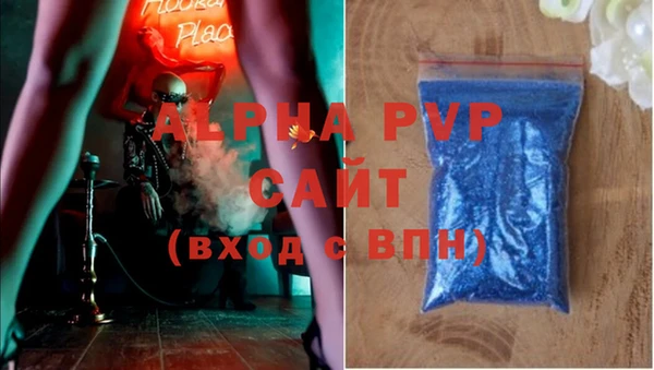 спайс Алзамай