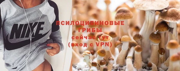 спайс Алзамай