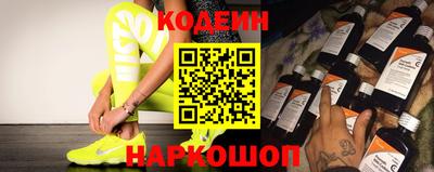 мдпв Камышлов