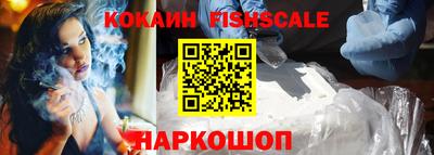 мдпв Камышлов