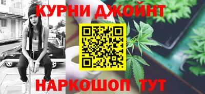 мдпв Камышлов