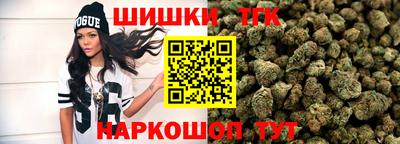 мдпв Камышлов
