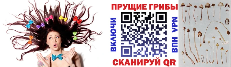 как найти наркотики  Лабинск  Галлюциногенные грибы GOLDEN TEACHER 