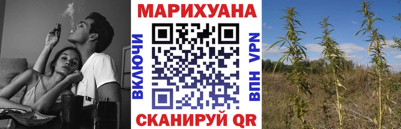 МАРИХУАНА сатива цены Лабинск